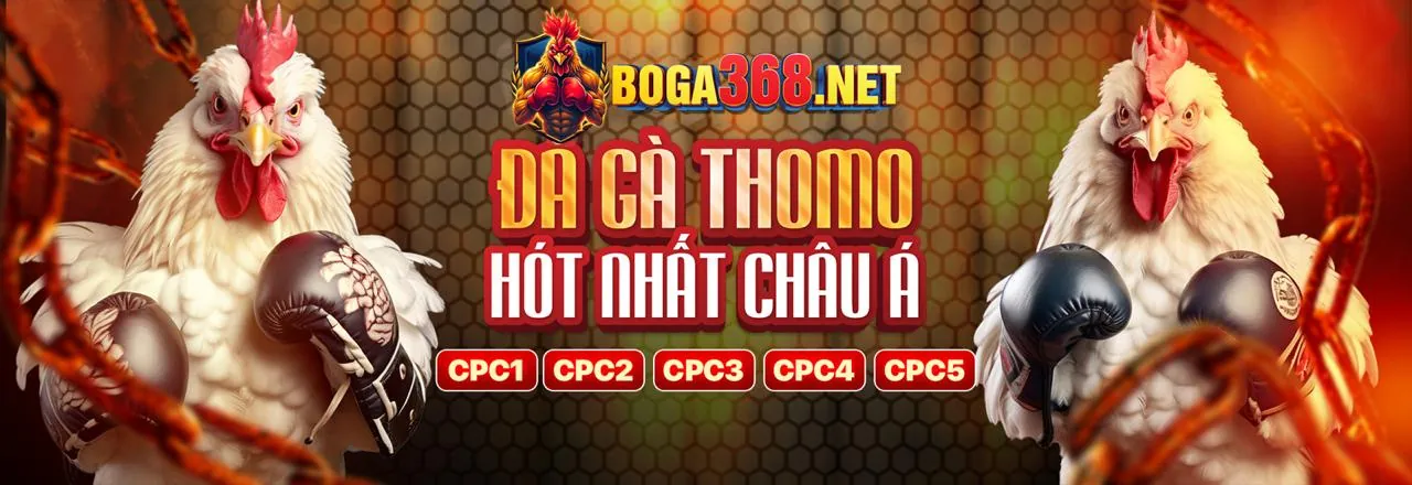 Sân vận động thể thao sôi động của 789bet